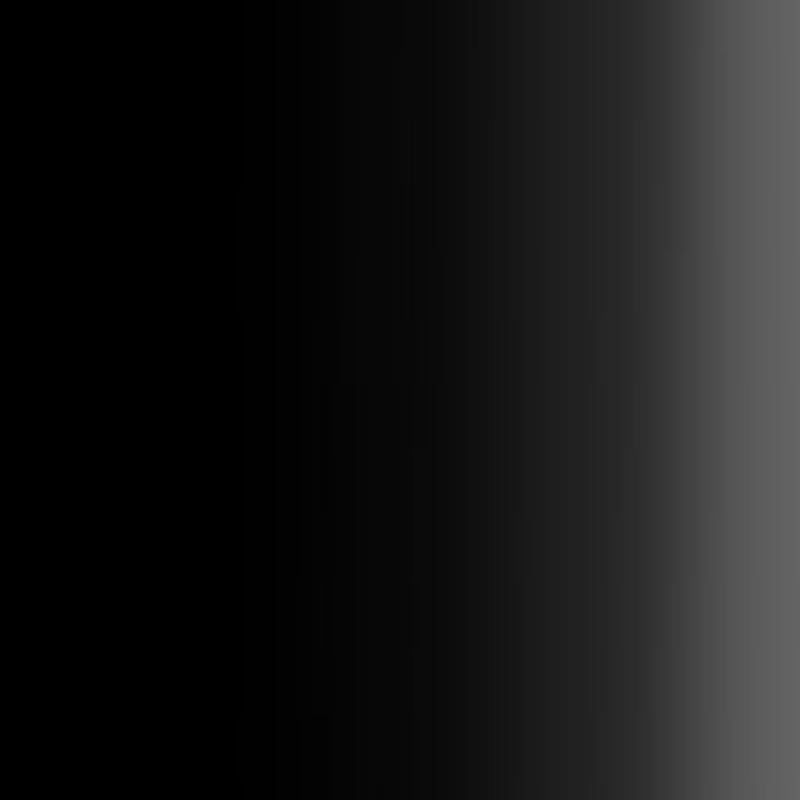 Createx Airbrush Colors – 5211 Opaque Black