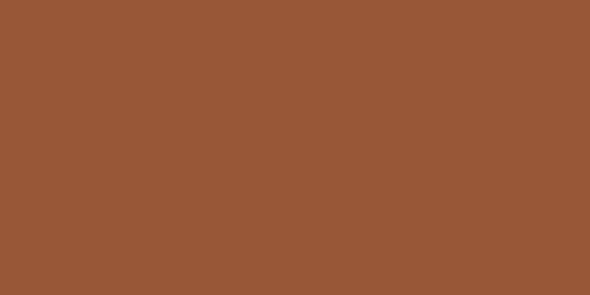 Createx Monotype Colors – 3017 Monotype Raw Sienna