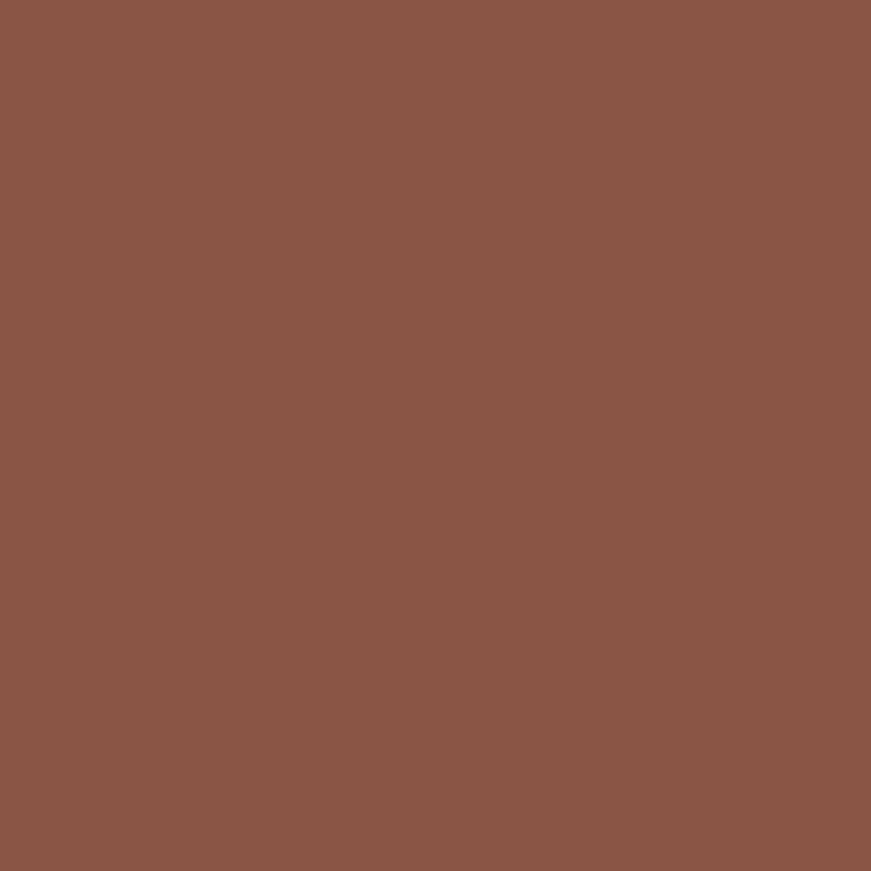 Createx Illustration Colors – 5021 Lifeline Deep Espresso