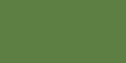Createx Monotype Colors – 3015 Monotype Earth Green