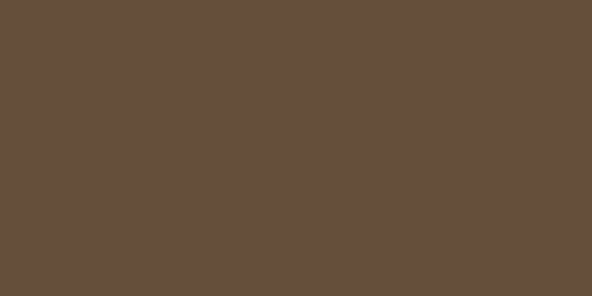 Createx Monotype Colors – 3019 Monotype Raw Umber
